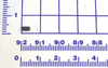 Parts Brite 67860093